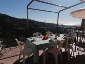 Agriturismo IL POGGIO DI VASIA CITR00864-AGR-0001